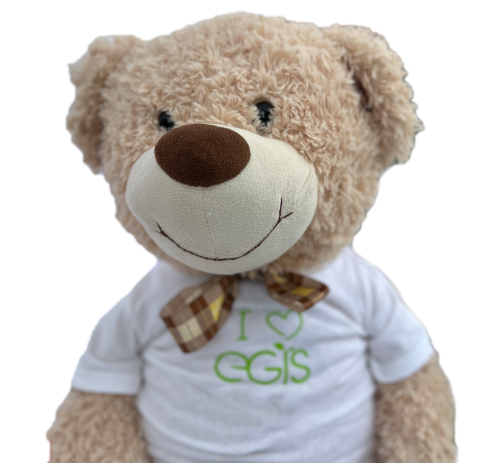 egis-home-investieren-baer