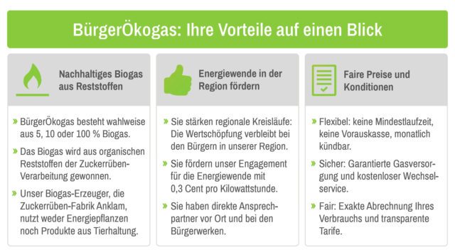 egis-egisplus-buergeroekogas