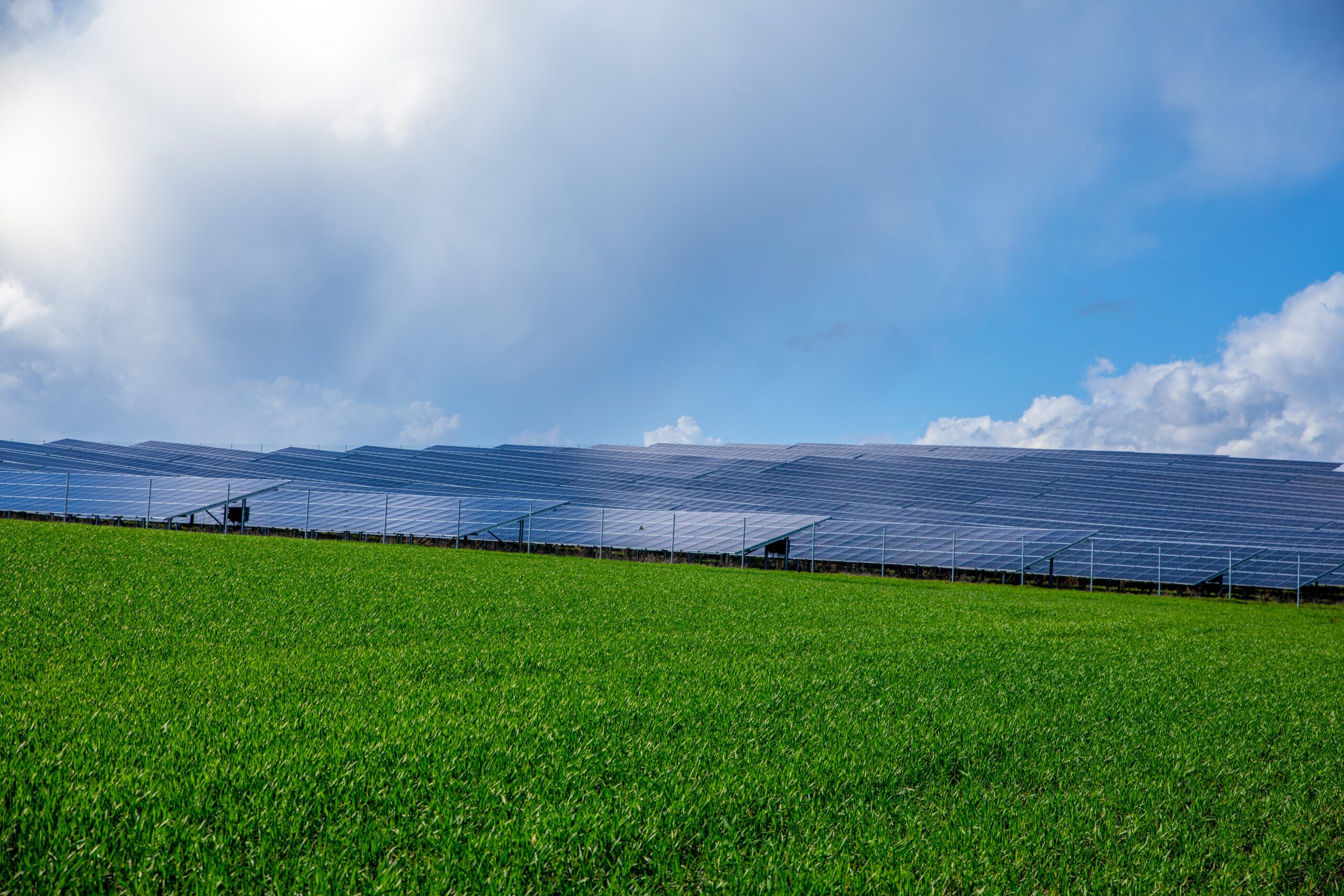 EGIS eG, PV-Reckertshausen - Investition Solarpark