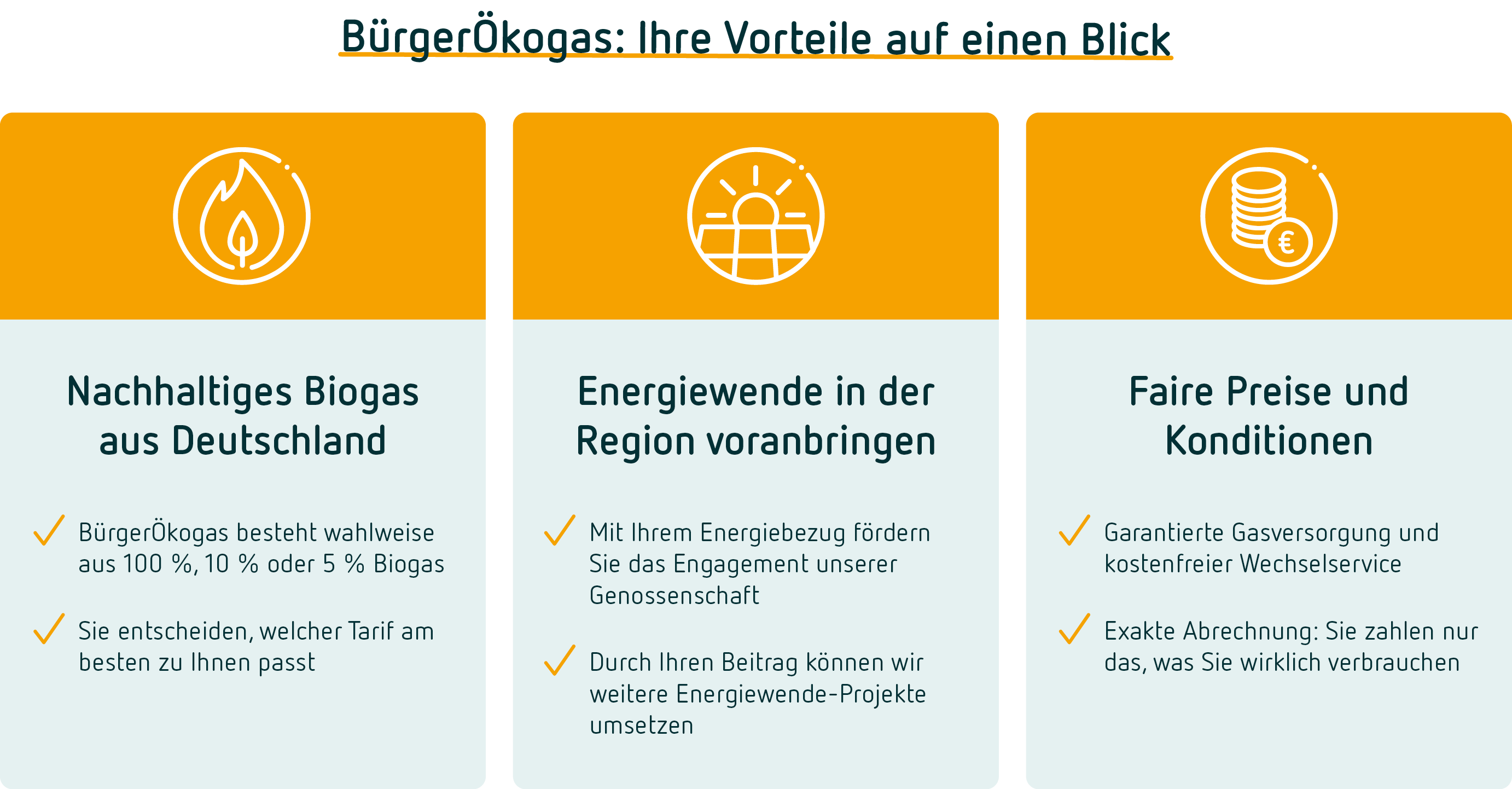 Vorteile-BuergerOekogas